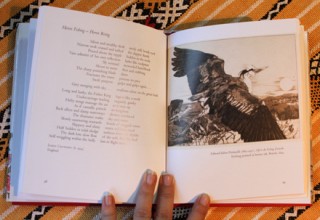 British museum birds