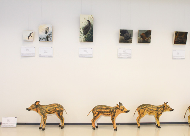 Kuusankosken näyttely